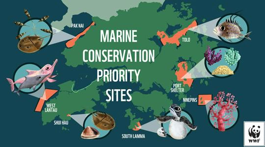 Habitat Mapping and Conservation