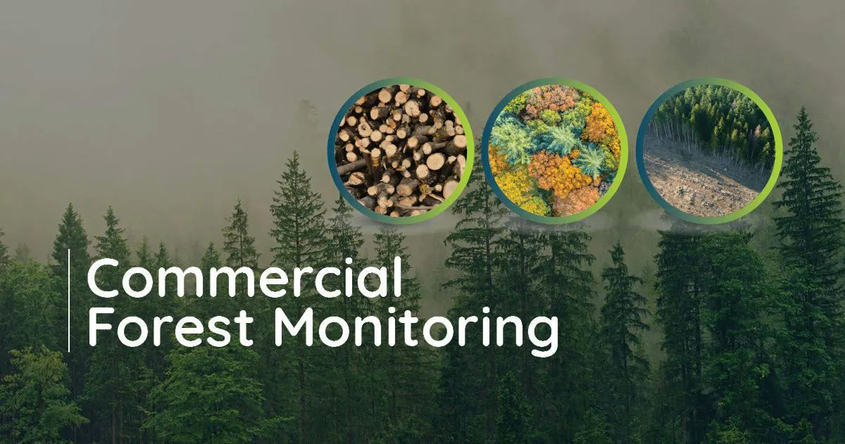 Commercial Forest Monitoring