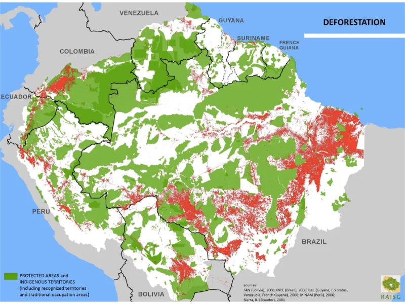 Amazon Rainforest Deforestation Monitoring